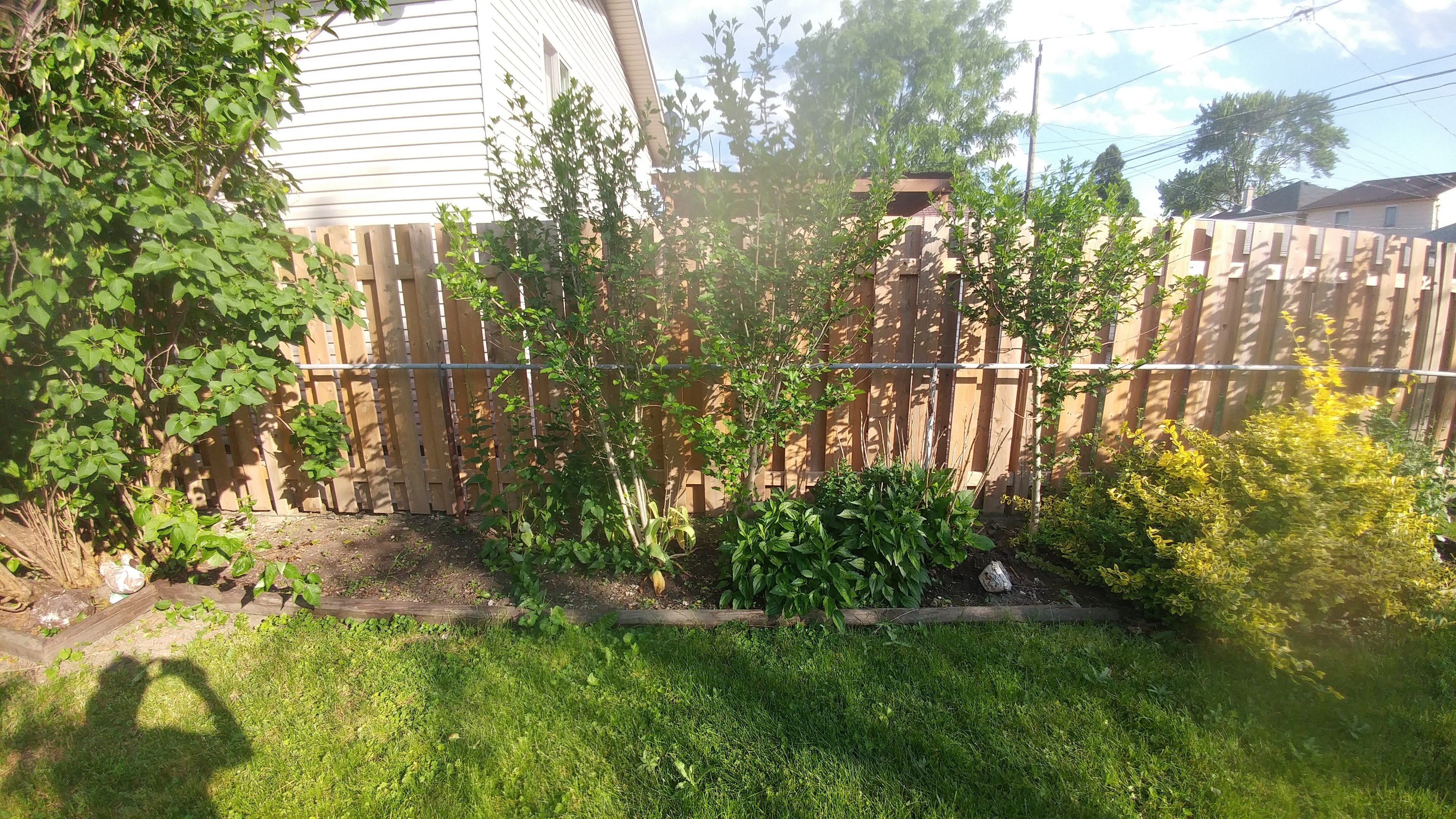 Middle left of my garden The other middle section of my garden